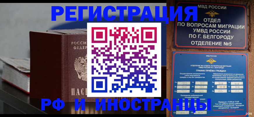 прописка 2025 в Щёкино